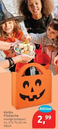 Budni Kürbis Filztasche Angebot