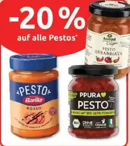 Budni Pesto Angebot