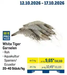METRO White Tiger Garnelen Angebot