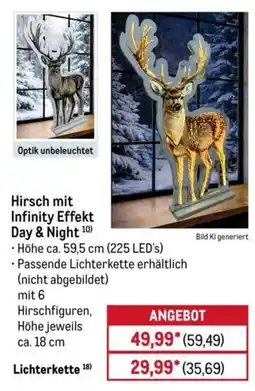 METRO Hirsch mit Infinity Effekt Day & Night Angebot