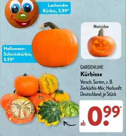 Aldi Süd GARDENLINE Kürbisse Angebot