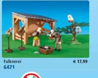 Playmobil Falknerei 6471 Angebot