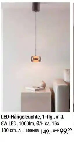 Zurbrüggen Paul Neuhaus LED-Hängeleuchte, 1-flg., Angebot