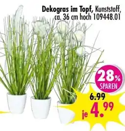 Möbel Boss Dekogras im Topf, Kunststoff Angebot