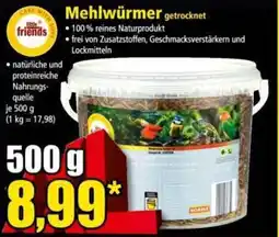Norma Mehlwürmer getrocknet Angebot