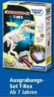 Norma Schnappi T-Rex Angebot