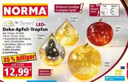 Norma i-GLOW by flower LED-Deko-Apfel/Tropfen Angebot