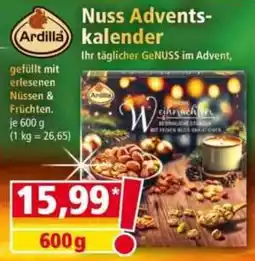 Norma Ardilla Nuss Adventskalender Angebot