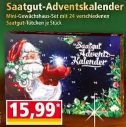 Norma Saatgut-Adventskalender Angebot