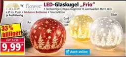 Norma LED-Glaskugel "Frio" by flower power Angebot
