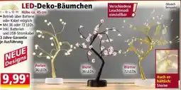 Norma LED-Deko-Bäumchen i-GLOW Angebot