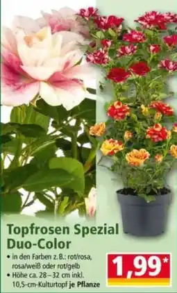 Norma Topfrosen Spezial Duo-Color Angebot
