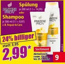Norma PANTENE PROV Shampoo Angebot