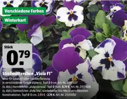 Hagebau Stiefmütterchen „Viola F1“ Angebot