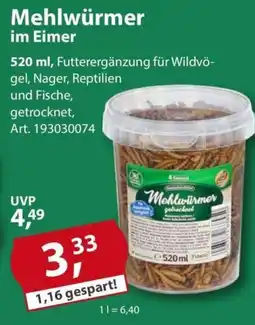 Sonderpreis Baumarkt Mehlwürmer im Eimer Angebot