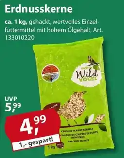 Sonderpreis Baumarkt Wild Vogel Erdnusskerne Angebot