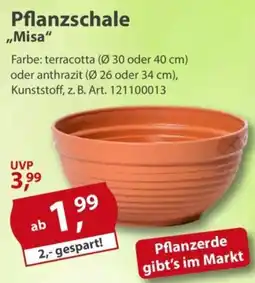Sonderpreis Baumarkt Pflanzschale "Misa" Angebot