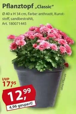 Sonderpreis Baumarkt Pflanztopf "Classic" Angebot