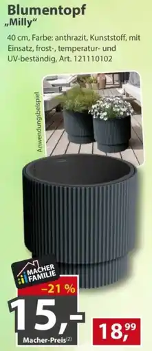 Sonderpreis Baumarkt Blumentopf "Milly" Angebot