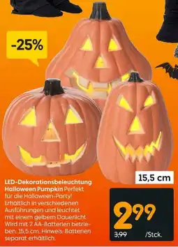 Rusta LED-Dekorationsbeleuchtung Halloween Pumpkin Angebot