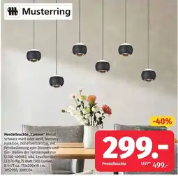 Segmüller Musterring Pendelleuchte „Cannon“ Angebot
