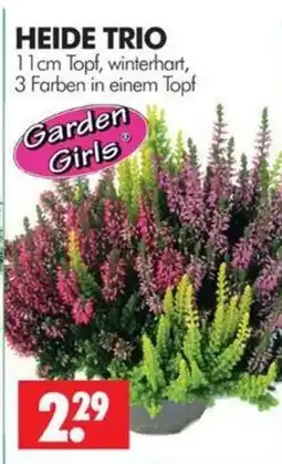 Wreesmann HEIDE TRIO Garden Girls Angebot