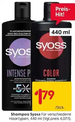 Rusta Shampoo Syoss Angebot