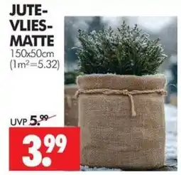 Wreesmann JUTE-VLIES-MATTE Angebot