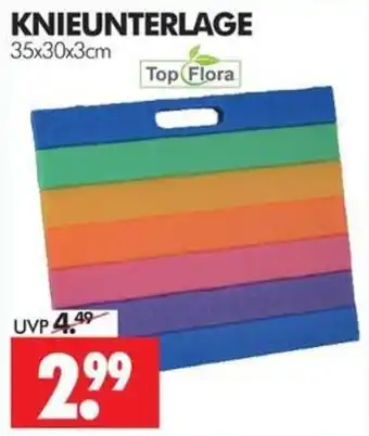Knieunterlage Top Flora