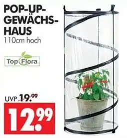 Wreesmann POP-UP-GEWÄCHS-HAUS Top Flora Angebot