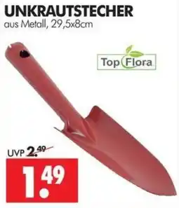 Wreesmann UNKRAUTSTECHER Top Flora Angebot