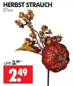 Wreesmann HERBST STRAUCH Angebot