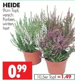 Wreesmann HEIDE Angebot