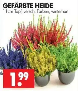 Wreesmann GEFÄRBTE HEIDE Angebot