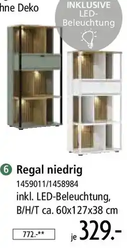 Zurbrüggen Regal niedrig Angebot