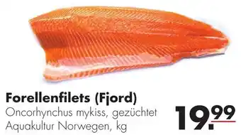 Handelshof Forellenfilets (Fjord) Angebot