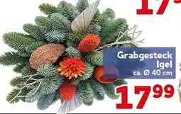 CENTERSHOP Grabgesteck Igel Angebot