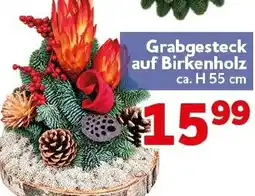 CENTERSHOP Grabgesteck auf Birkenholz Angebot