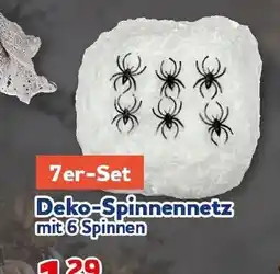 CENTERSHOP Deko-Spinnennetz Angebot