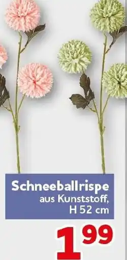 CENTERSHOP Schneeballrispe aus Kunststoff Angebot