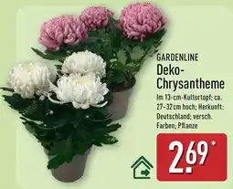 Aldi Nord GARDENLINE Deko-Chrysantheme Angebot