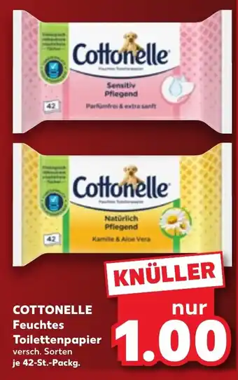 COTTONELLE Feuchtes Toilettenpapier