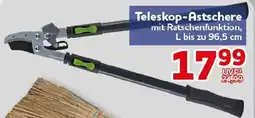 CENTERSHOP Teleskop-Astschere Angebot