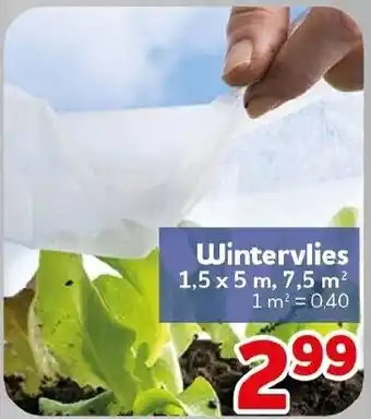 CENTERSHOP Wintervlies Angebot