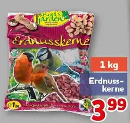 CENTERSHOP Birds Garden Erdnusskerne Angebot