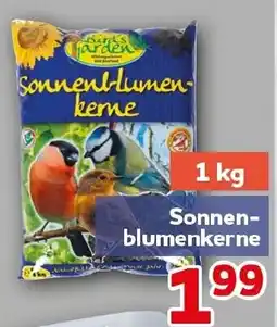 CENTERSHOP Sonnenblumenkerne Angebot