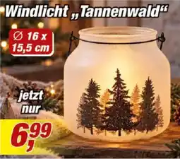 Posten Börse Windlicht "Tannenwald" Angebot