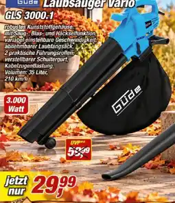 Posten Börse Gude Laubsauger Vario GLS 3000.1 Angebot