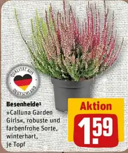 nahkauf Calluna Garden Girls Angebot