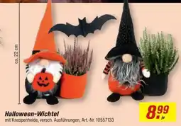 toom Baumarkt Halloween-Wichtel Angebot